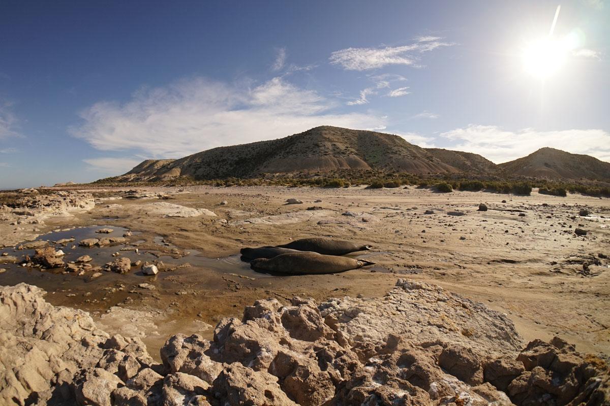 Dos Pozos La Antonieta Estancia De Mar מראה חיצוני תמונה