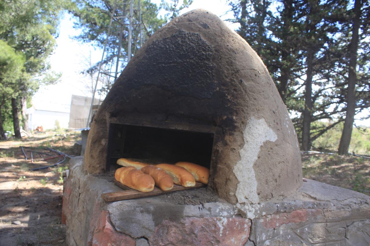 Dos Pozos La Antonieta Estancia De Mar מראה חיצוני תמונה