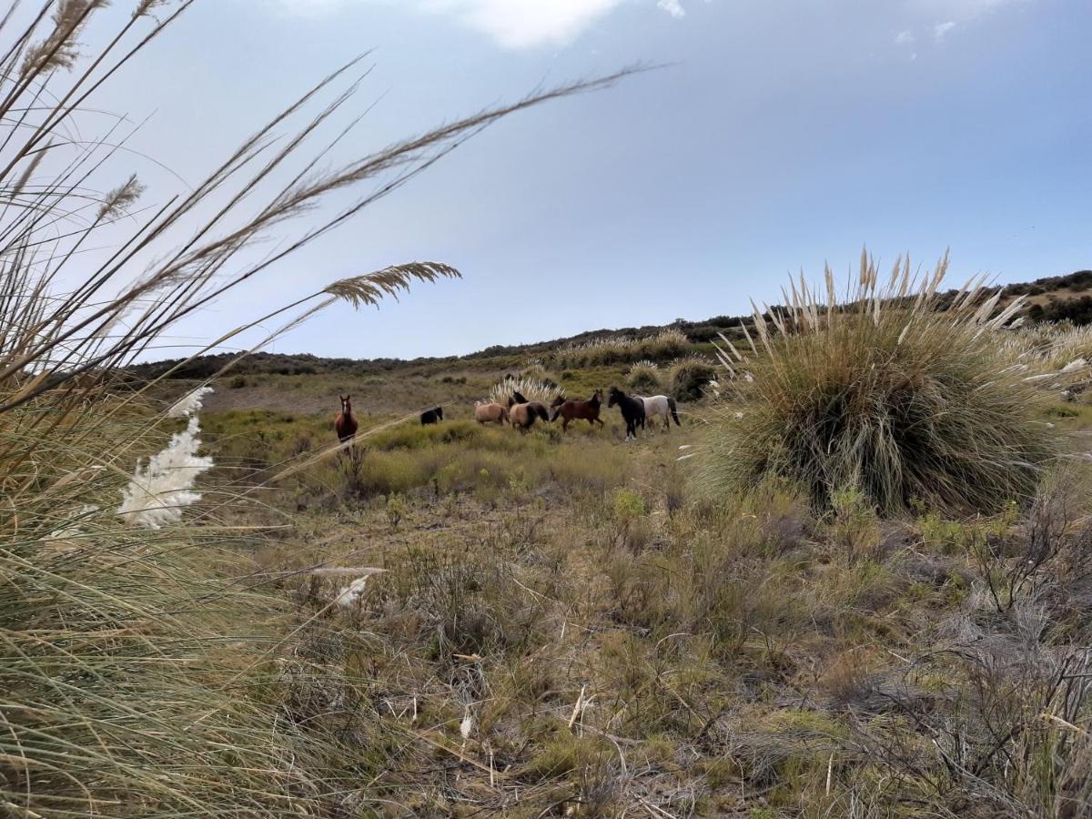 Dos Pozos La Antonieta Estancia De Mar מראה חיצוני תמונה